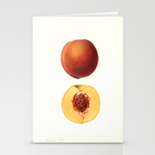 Peach - Fertile Hale Stationery Cards