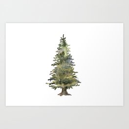 Watercolor Pine Tree Art Print