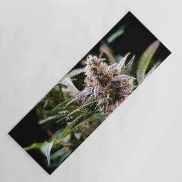 Purple Cannabis Bud in Black Yoga Mat