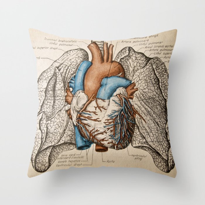 Vintage anatomy illustration Throw Pillow