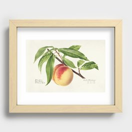 Peach Twig (Prunus Persica) (1918) Recessed Framed Print