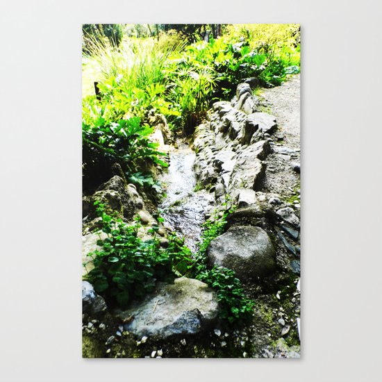 THE STREAM ALONG THE WAY Canvas Print
