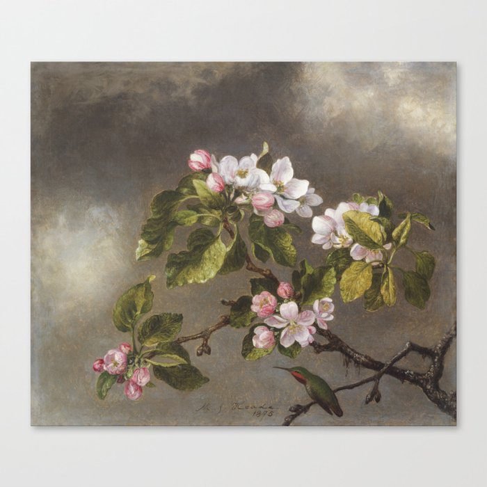 Hummingbird and Apple Blossoms Canvas Print