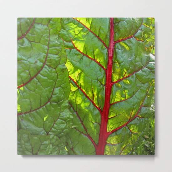 bloodstream III Metal Print