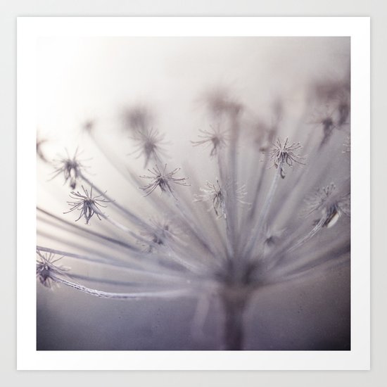 From the dreams Art Print