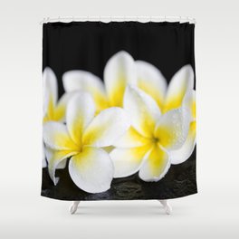 Plumeria obtusa Singapore White Shower Curtain