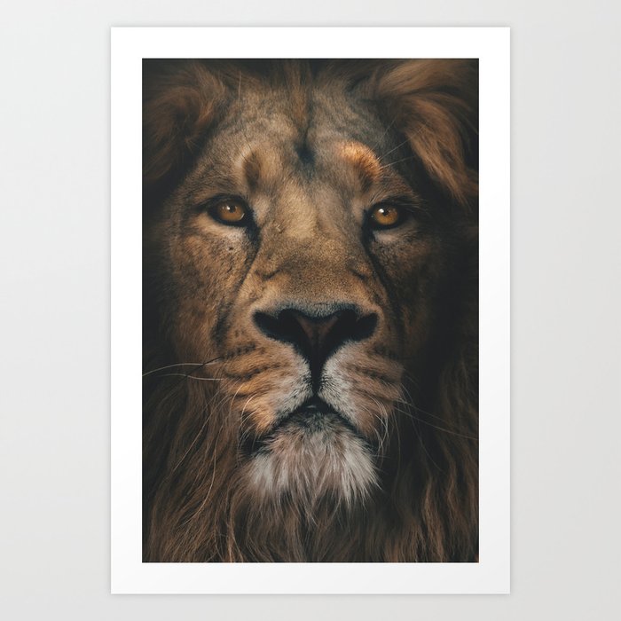 Fierce Lion Art Print