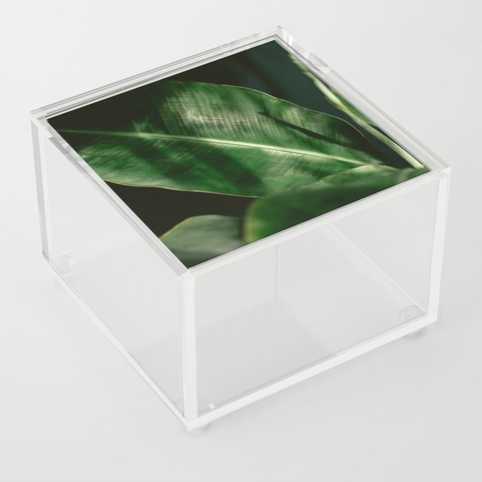 Dark Banana Leaf - Texel Collection | The Netherlands - Travel photography Art Print Acrylic Box