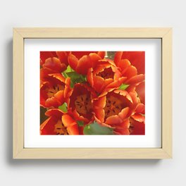 Red Tulips Recessed Framed Print
