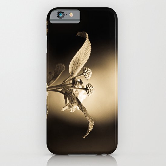 Venus in Flowers iPhone & iPod Case