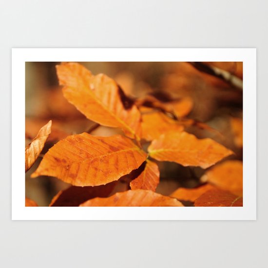 Autumn Leaves Art Print