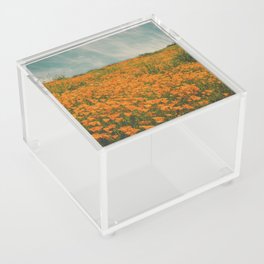 California Poppies 016 Acrylic Box