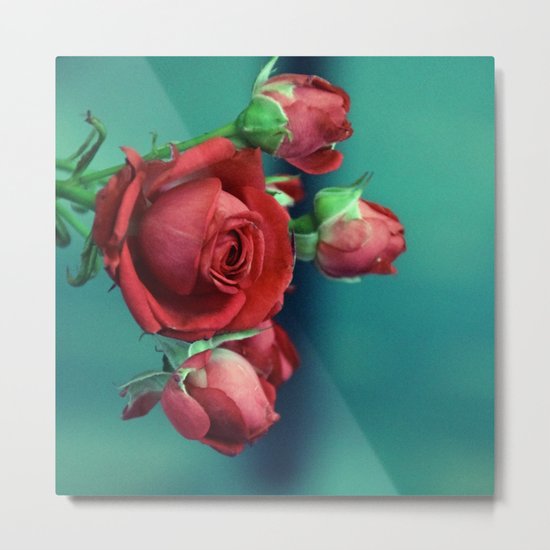 Red roses Metal Print