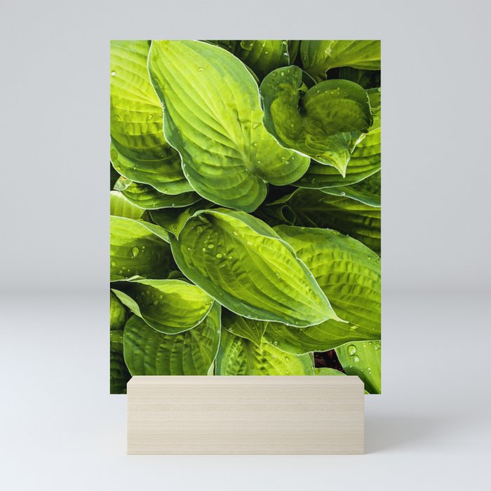 green flow Mini Art Print