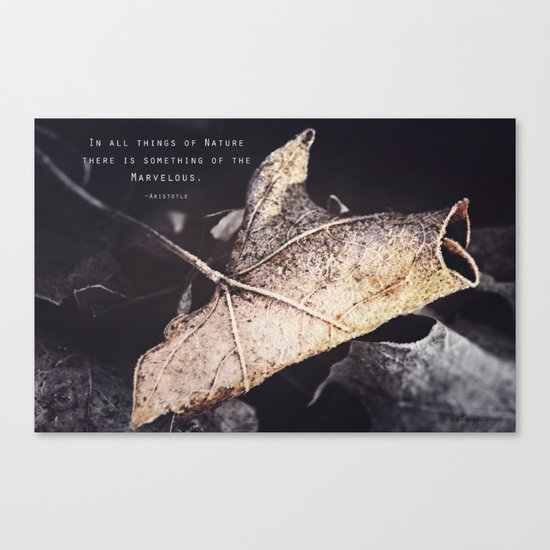 Something of the Marvelous Canvas Print