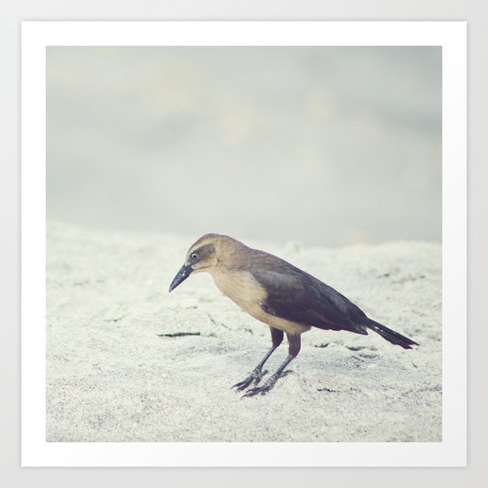Little Bird I Art Print