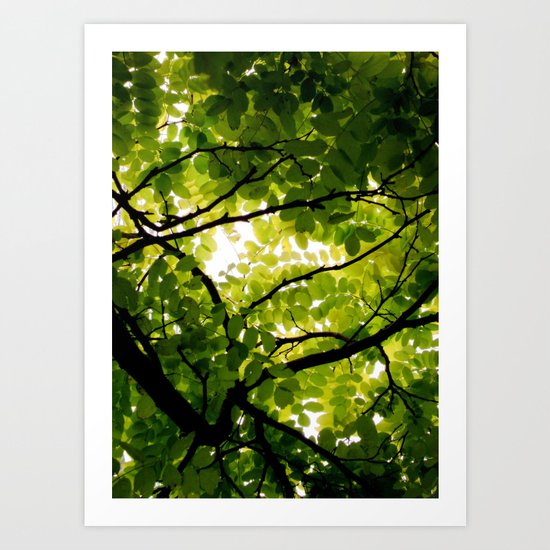 Robinia Art Print