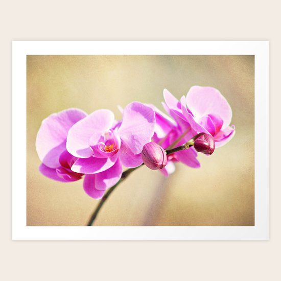 Warm Embrace Art Print