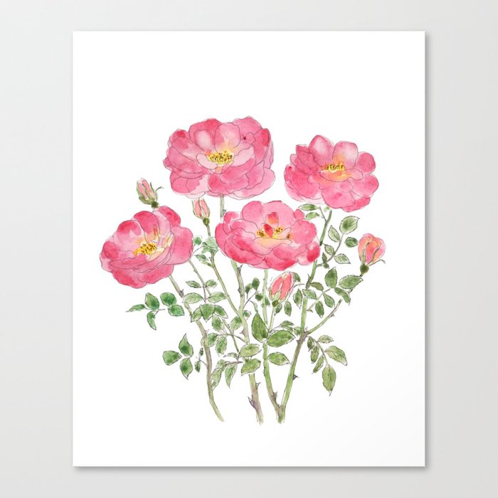 pink rose watercolor  Canvas Print