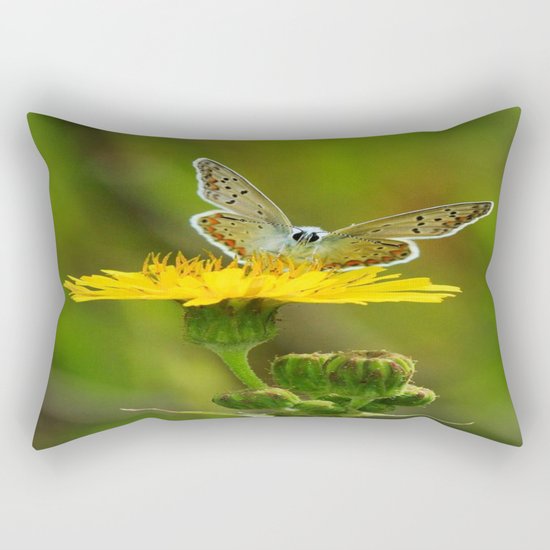 ART Rectangular Pillow