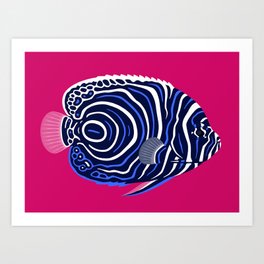 Emperor angelfish juvenile Art Print