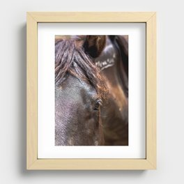 Branded - Wild Mustang - Horse Photography Recessed Framed Print