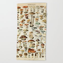 Vintage Mushroom & Fungi Chart by Adolphe Millot Beach Towel