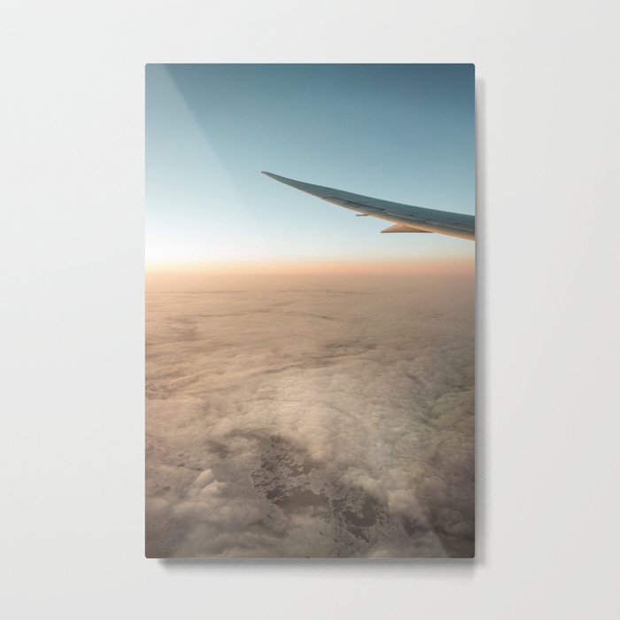 Perfect Flight Metal Print
