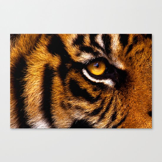 HIS ROYAL STRIPEYNESS Canvas Print