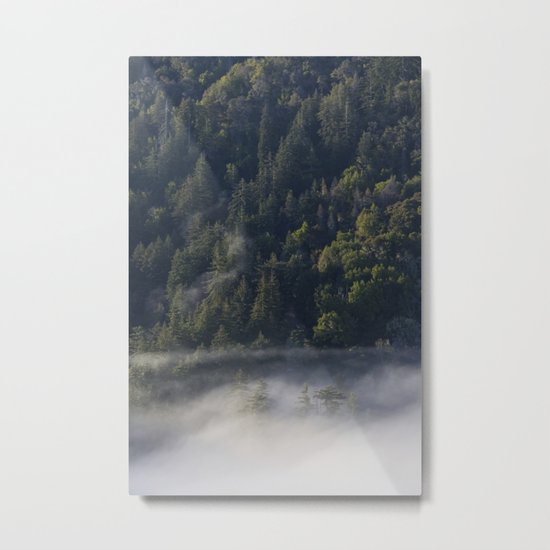 Big Sur Forest Metal Print