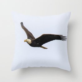 American Eagle In Flight Throw Pillow