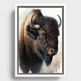 Buffalo  Framed Canvas
