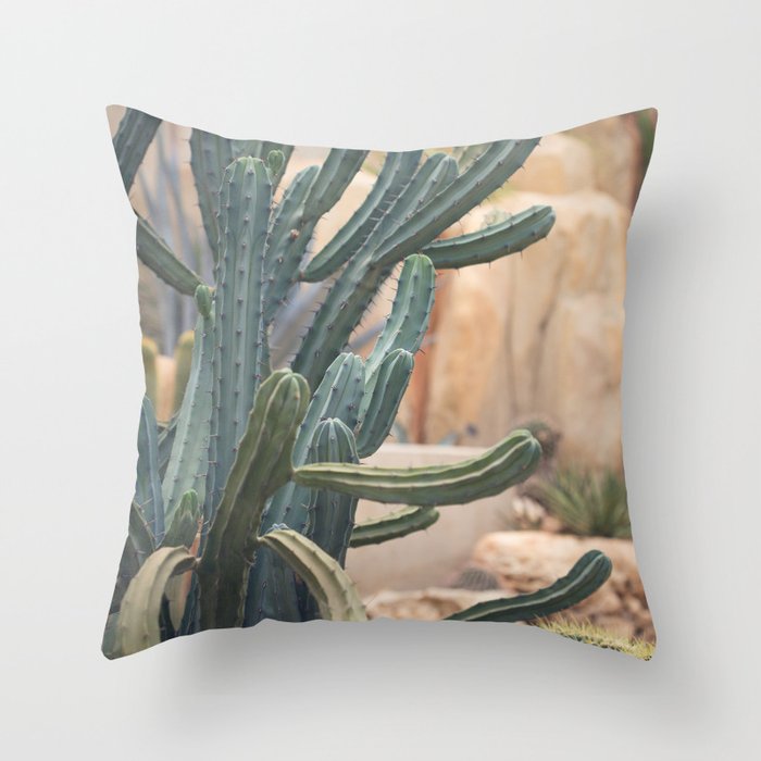 Cactus Jungle II Throw Pillow