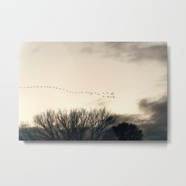Into the  Storm Metal Print | Geese, Photo, Color, Sky, Digital, Clouds 