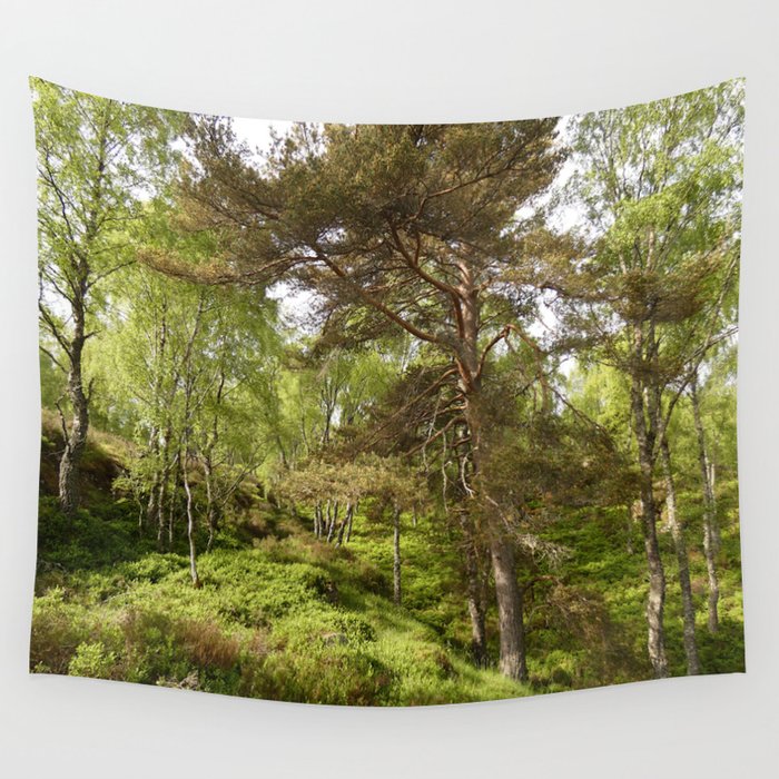 Fairy Tale Lands of the Scottish Highlands Wall Tapestry