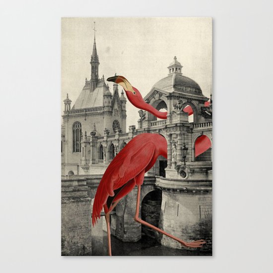 NUMBER 17 (FLAMINGO) Canvas Print
