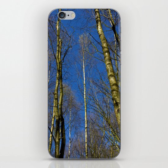 The Still forest iPhone & iPod Skin