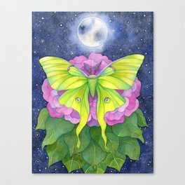 Luna Moth under the Moon Canvas Print