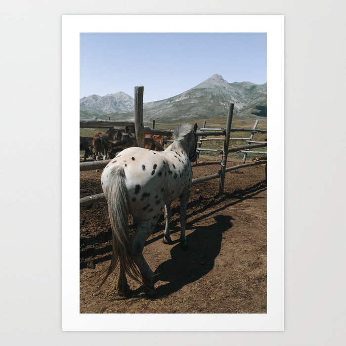 Dotted Pony B-Side | Nature & Landscape Photography Art Print