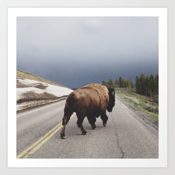 Art Print