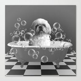 Top Model Paul - Shih Tzu Dog Bathtub Soap Bubbles Canvas Print