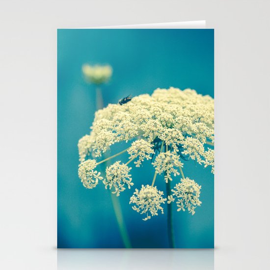 Lace Stationery Cards