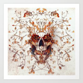 Delicate Skull Art Print