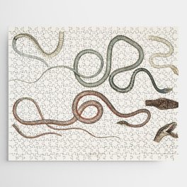 Side Streaked Tree Snake & Reddish Dipsus Jigsaw Puzzle