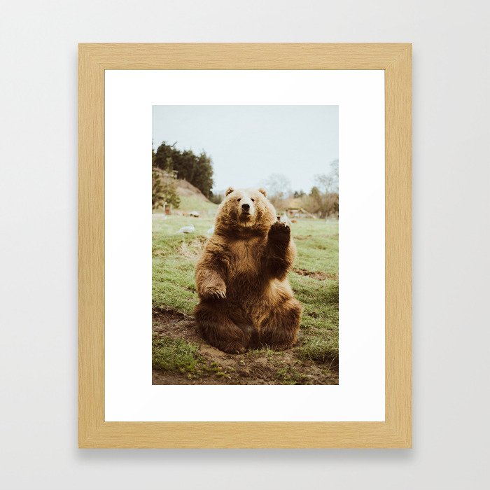 Hi Bear Framed Art Print