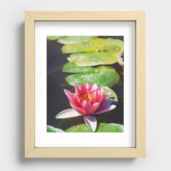 Lotus Recessed Framed Print