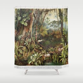 Vintage drawing of tropical forest plants from the beginning of 20th century period - Picture from Meyers Lexicon books collection (written in German language) published in 1908, Germany.  Shower Curtain
