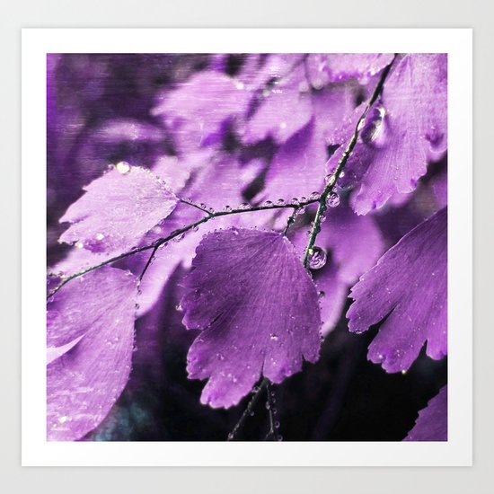 Lavender Fern Art Print