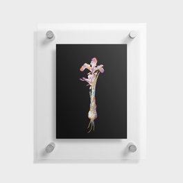 Floral Iris Persica Mosaic on Black Floating Acrylic Print