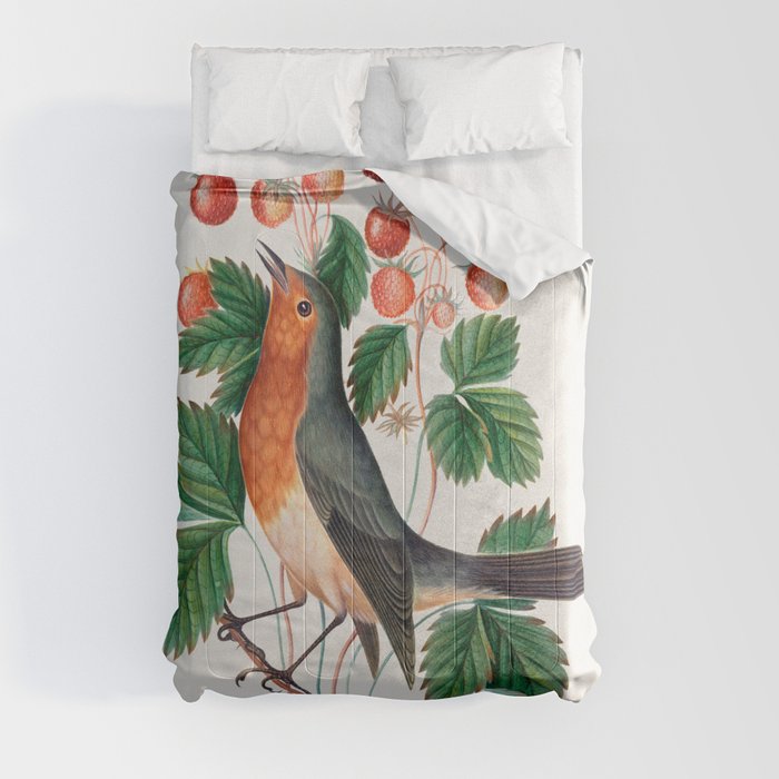 European robin and wild strawberry from the Natural History Cabinet of Anna Blackburne Comforter